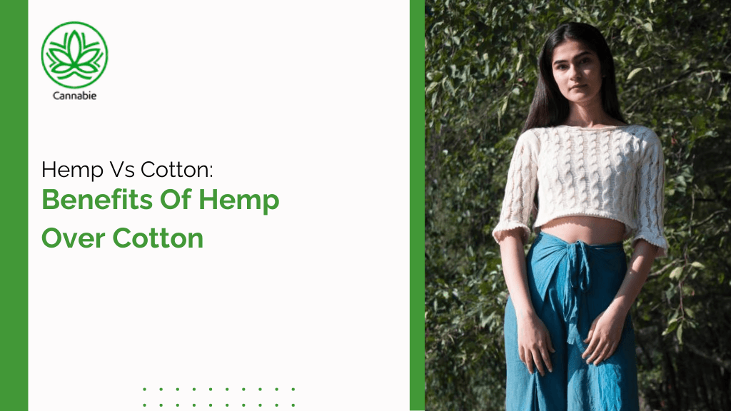 Hemp Vs Cotton